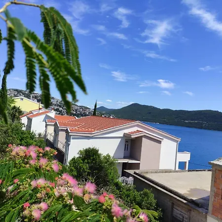 Dalmatinka * Neum