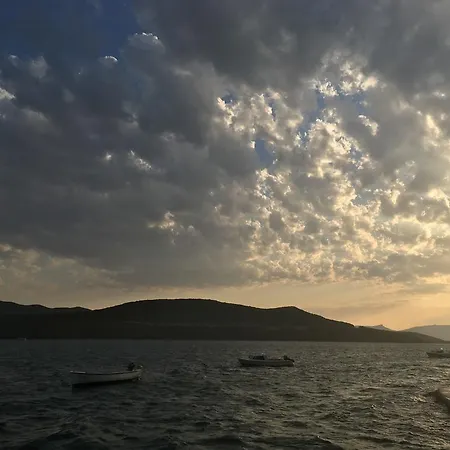 Dalmatinka * Neum